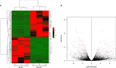 Screening and Identification of Key Genes for Activation of Islet Stellate Cell